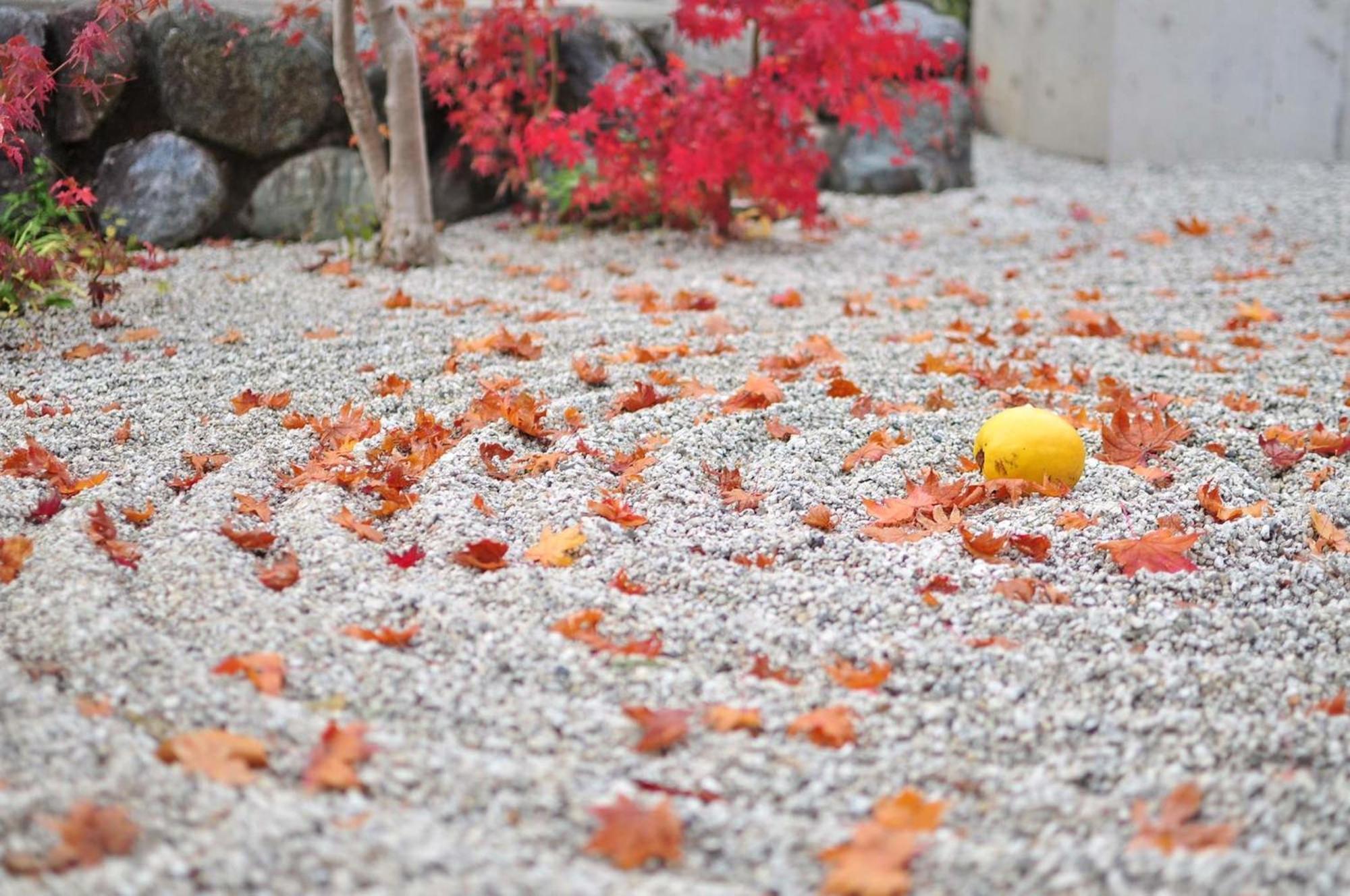 Tokyu Stay Kyoto Sakaiza Shijo Kawaramachi Exterior foto